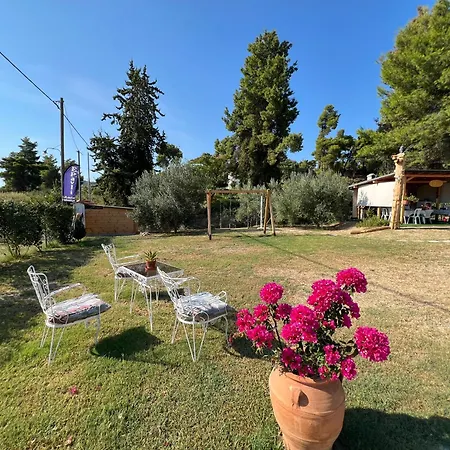 Appartamento Epavli Xenia Pefkochori-paliouri 50m *